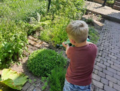 Kinder fürs Gärtnern begeistern